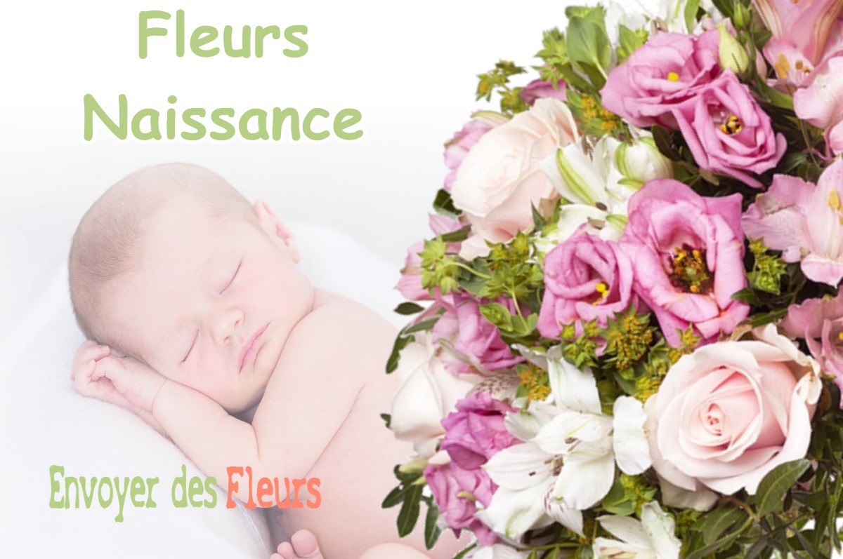 lIVRAISON FLEURS NAISSANCE à DOMBASLE-EN-ARGONNE